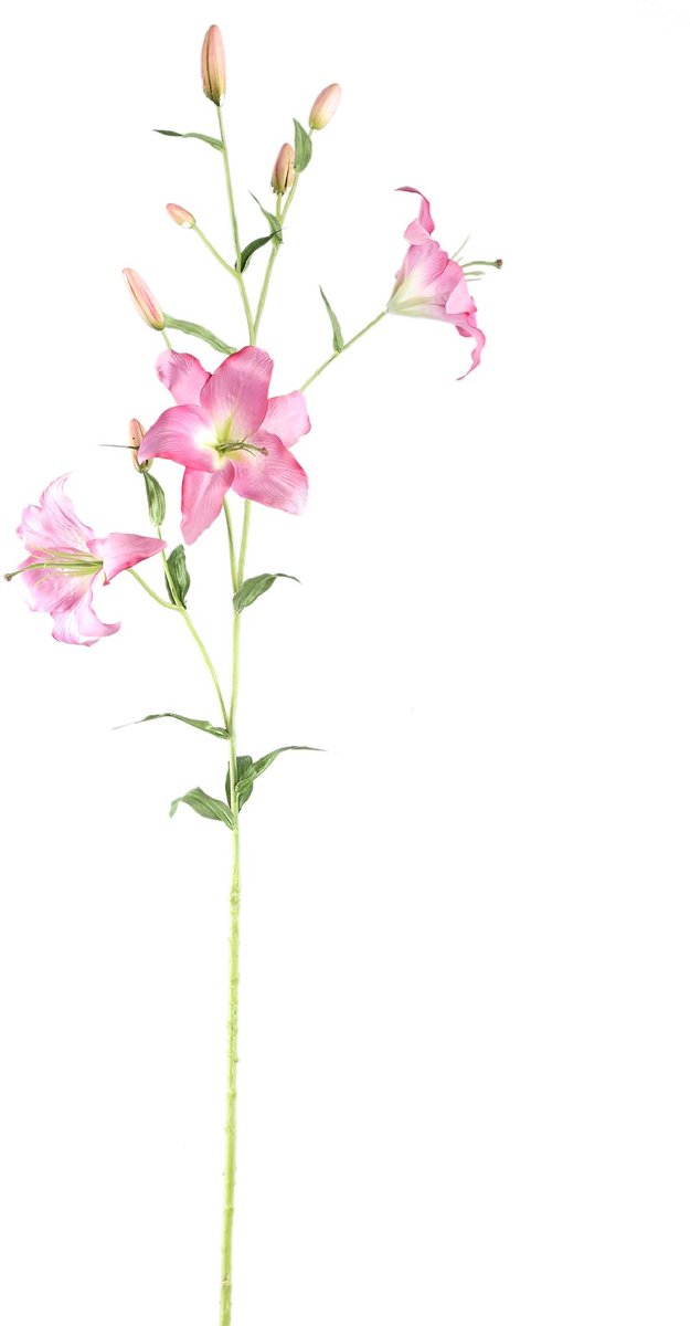 PTMD Kunstbloem Lily - 61x48x132 cm - Plastic - Wit