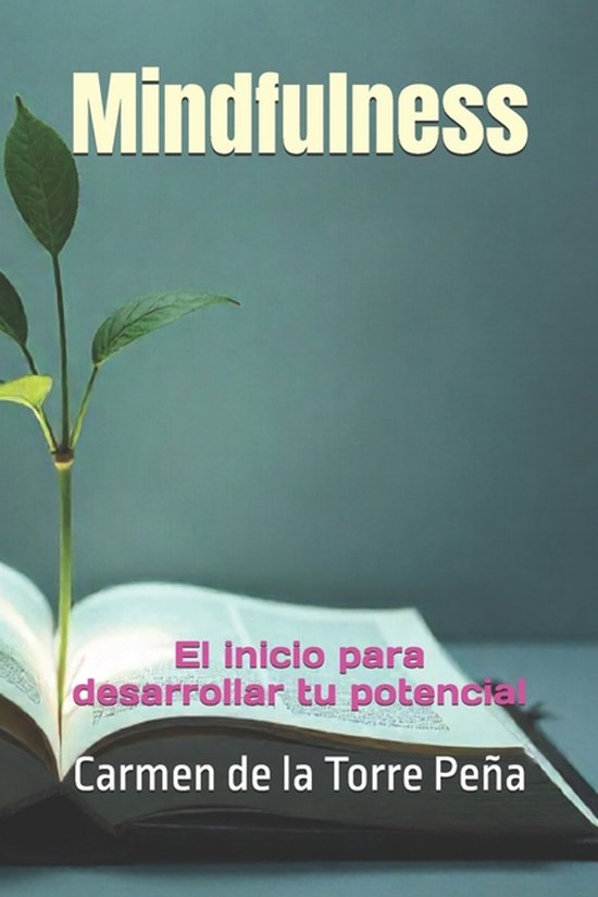 Mindfulness- Mindfulness - cover