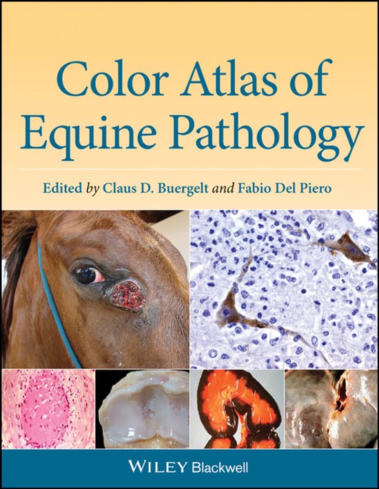 Color Atlas of Equine Pathology - cover