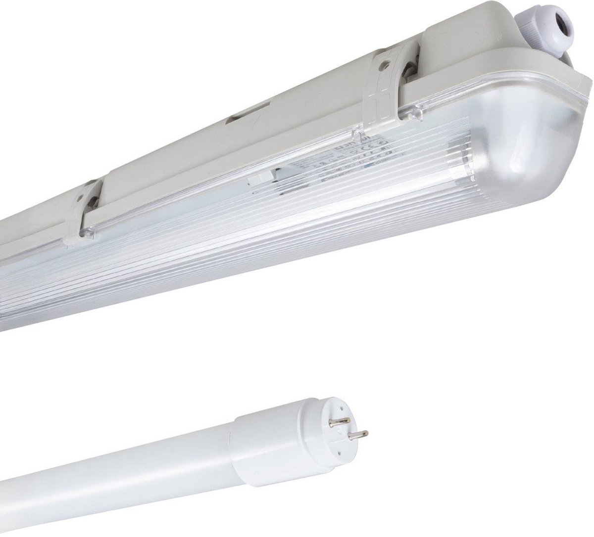 LED's Light LED TL armatuur met sensor 120 cm - Bewegingssensor en nachtsensor - Waterdicht - 2100 lm Wit/transparant