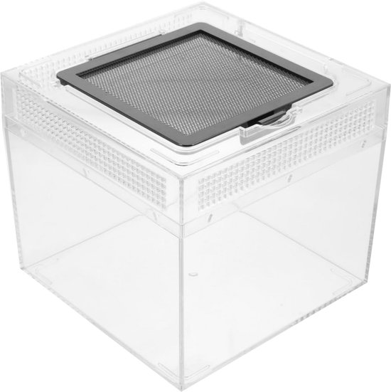 Topspitgo Slakken Mini Terrarium, Acryl Transparante Transportdoos Terrariumglas Voor Slakken Spinnen Gekko Hamsters Slangen Schildpadden Draagbare Reptielen Insecten Voeding Terrarium 1354163899