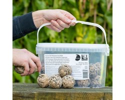 CJ Wildlife 30st Vetbollen voor Vogels - Aanbevolen door Vogelbescherming Nederland - Mezenbollen zonder Net - 80 gram per bol - Vogelvoer Buitenvogels - Energierijk Tuinvogelvoer