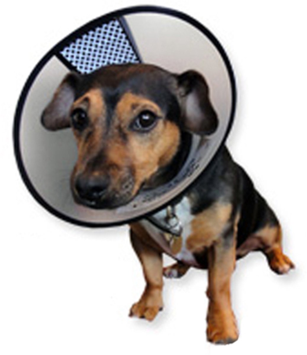 AA-Vet Easyfix-Collar - XXXL