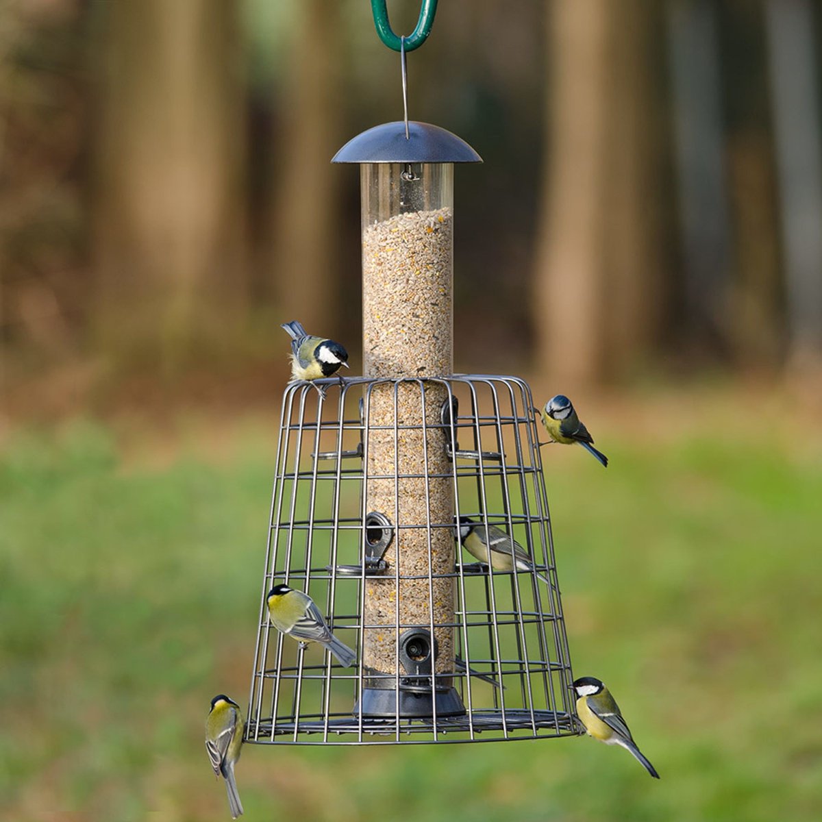 CJ Wildlife Voedersilo met Beschermkooi voor Tuinvogels - Adventurer - Vogelvoedersilo voor Kleine Vogels - Hangend Vogelvoederhuisje van 55cm - Vogelvoer Silo - Grafietgrijs