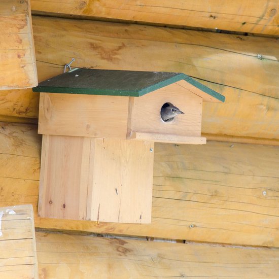 CJ Wildlife Nestkast voor de Spreeuw - 45mm - Nestkastje met Balkon - Houten Vogelhuisje - FSC-gecertificeerd