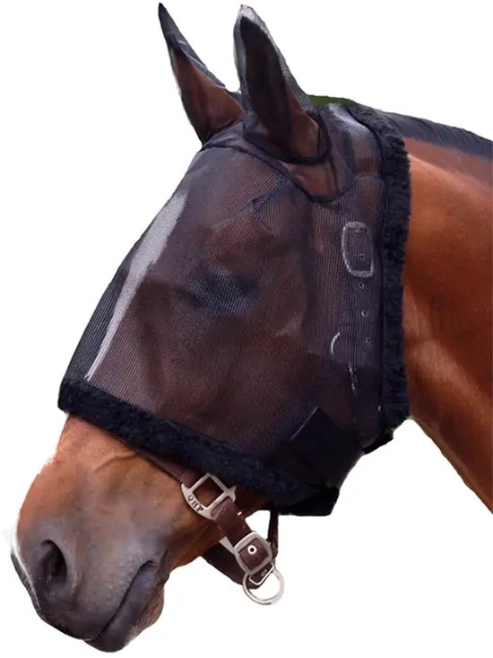 Bruine paard met zwart vliegenmasker met oren, wit op de neus.