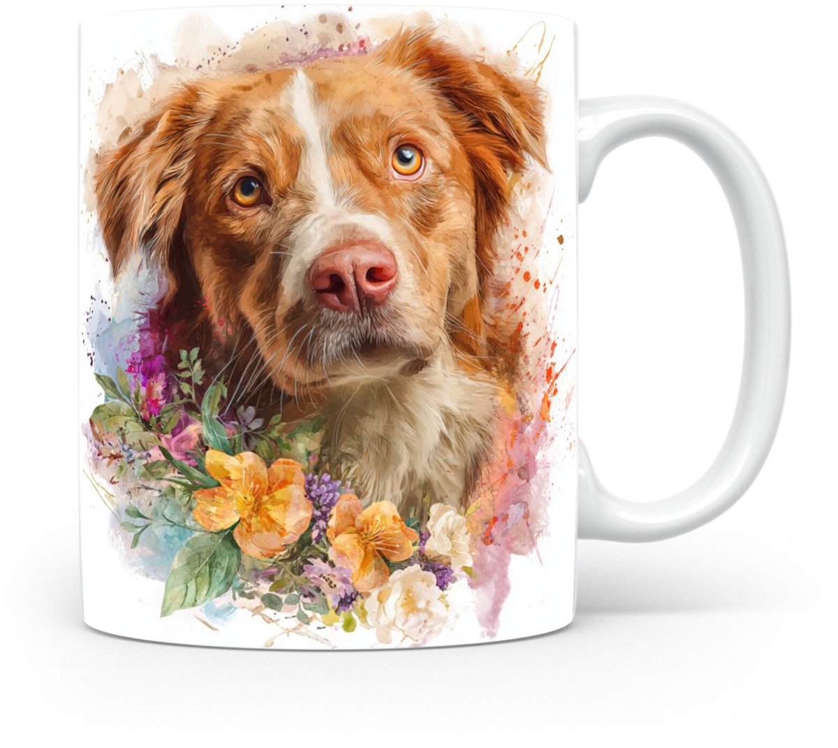 Beker Nova Scotia Duck Tolling Retriever