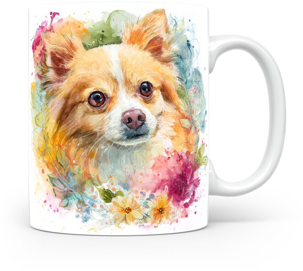 Beker Dwergspitz (Pomeranian)
