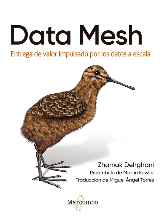 Data Mesh - cover