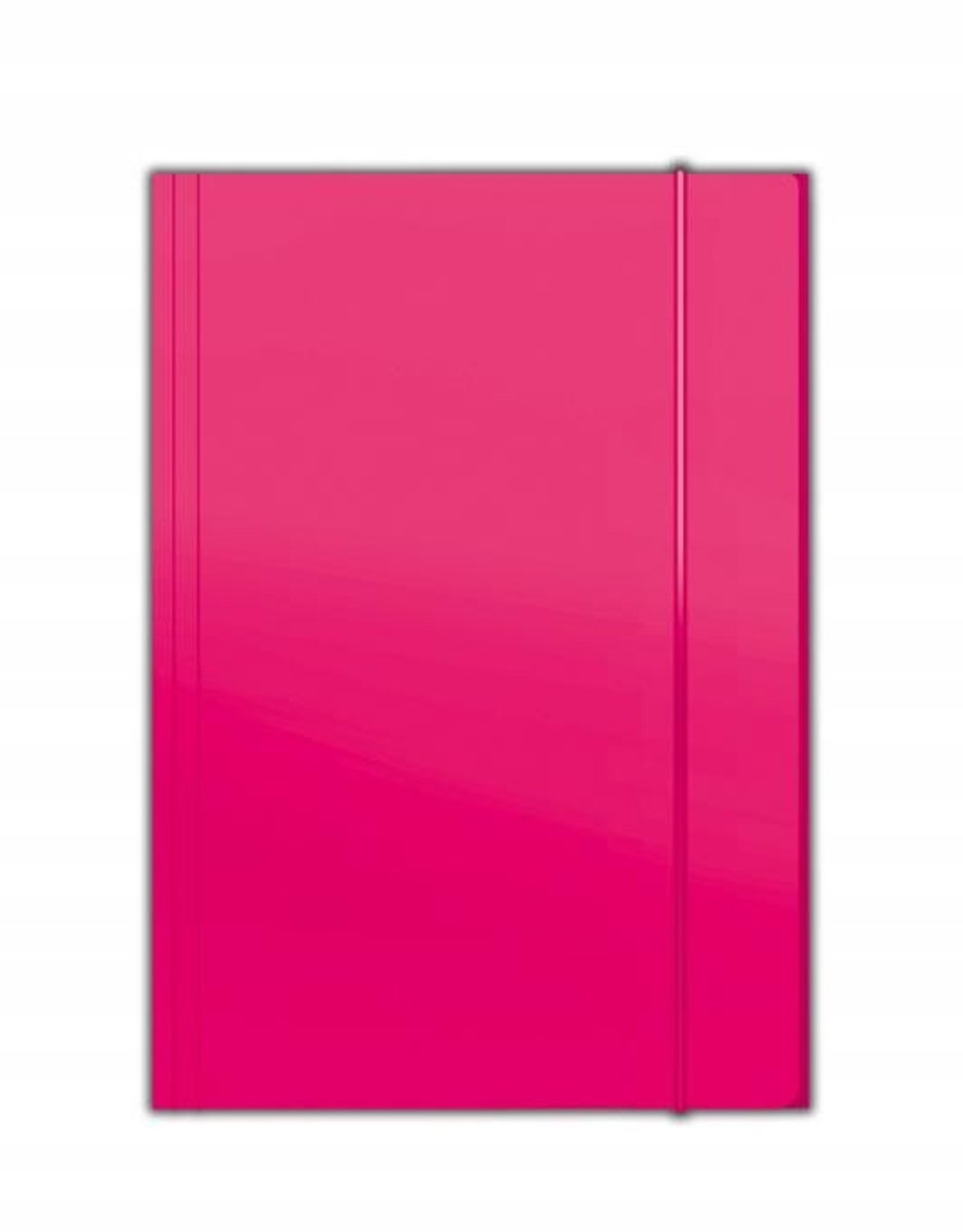Penmate A4 Map met Elastiek - Stevig & Stijlvol Roze