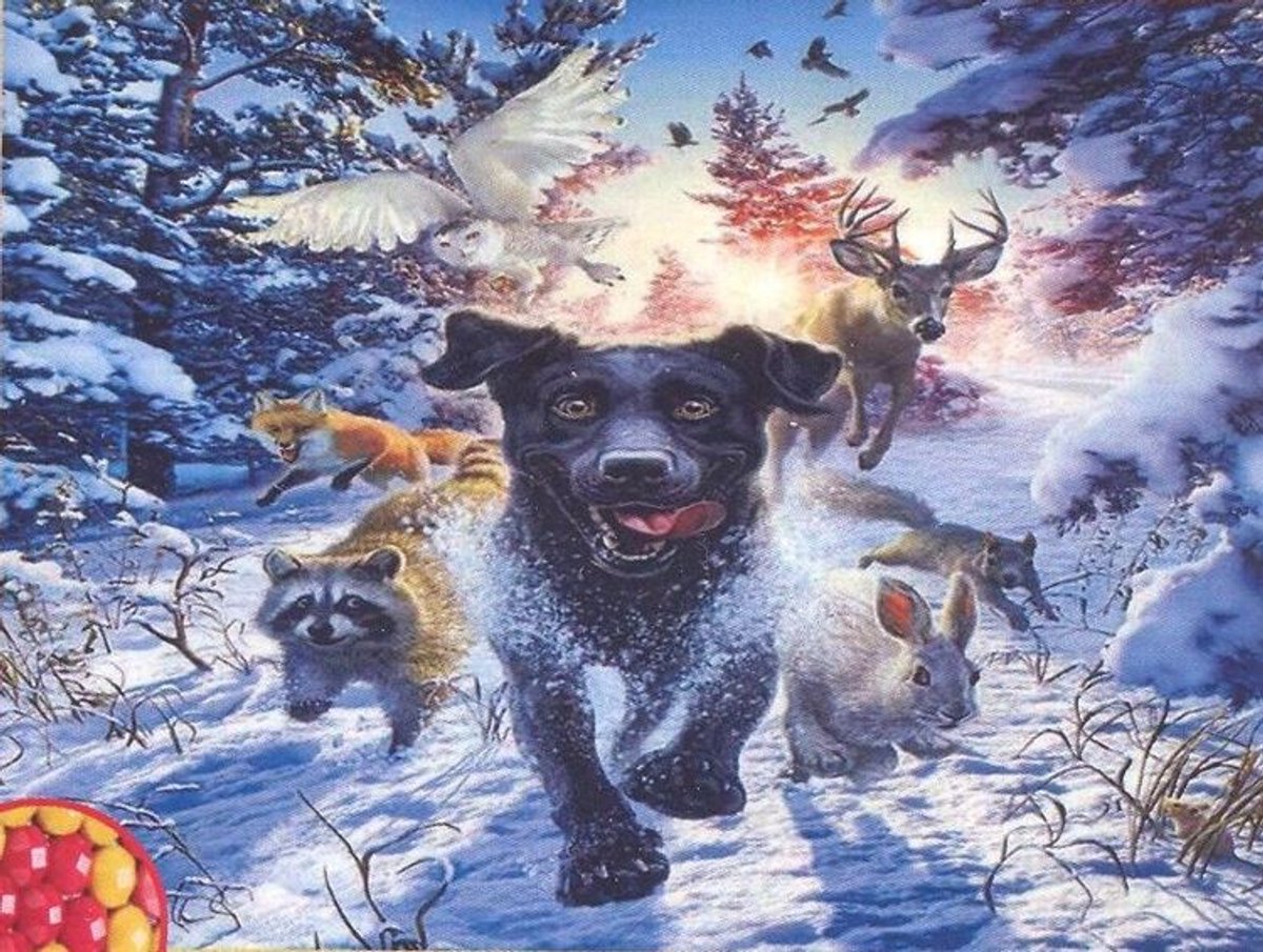 Diamond Painting Set 40x30cm Hond met andere dieren - Full size ronde steentjes