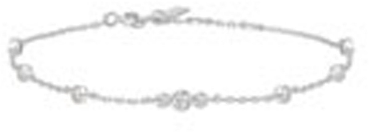 Ania Haie AH B065-03H Miss Dainty Dames Armband - Schakelarmband