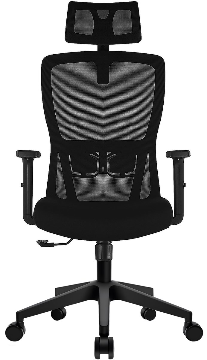 Durrafy Ergonomische Bureaustoel met Verstelbare Lendensteun - Durrafy® - €109,99