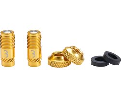 BBB Cycling CoreCap - Universele Ventiel Upgrade Set - 300% Meer Luchtstroom - Geschikt voor Alle Pompen - Presta naar Schrader Formaat - 2 stuks - Goud - BTI-165