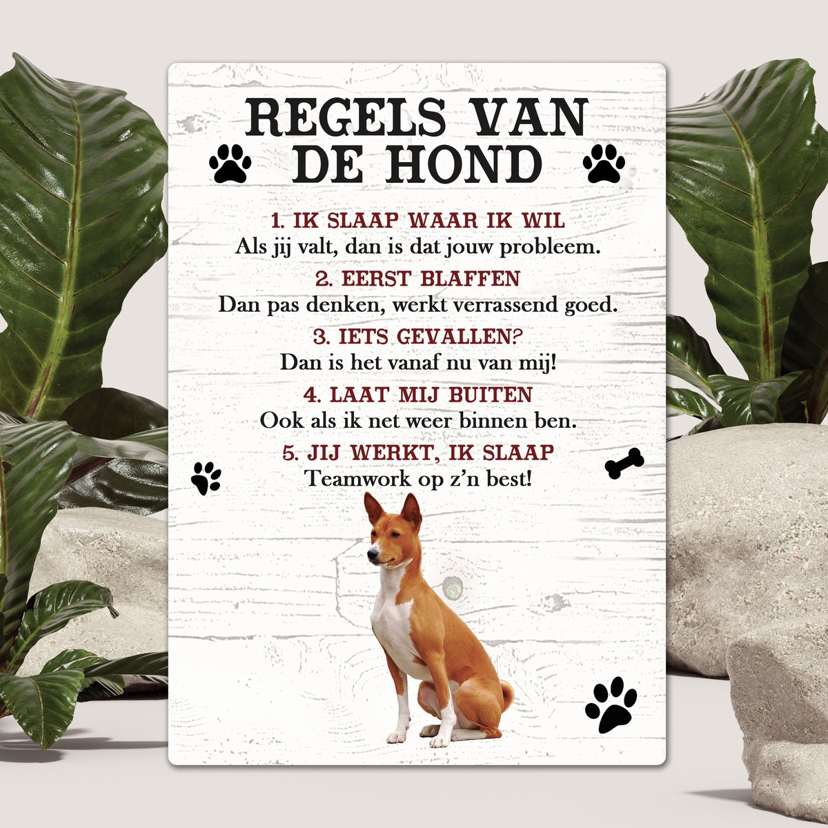 Spreuken - Basenji - Regels Van De Hond - Spreuken Bordjes - Spreukenbord - Tekstborden - Cadeau - Hondenras