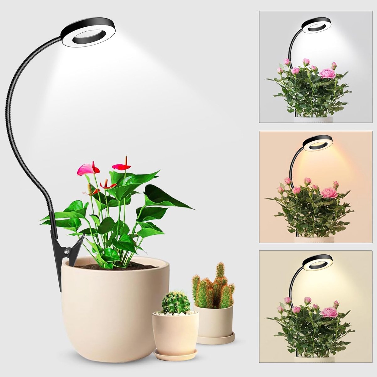 Clip-On Kweeklamp - LED Plantenlamp - Full Spectrum Kweeklamp Met Timer - 10 Helligheidsstanden - 360° Beweegbare Schenkel - Voor Binnenplanten - Grondpin En Clipsbevestiging
