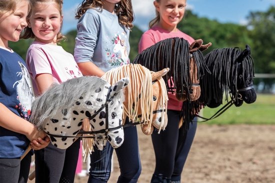 HKM Stokpaard - Hobby Horse Pro - black van HKM — afbeelding 4