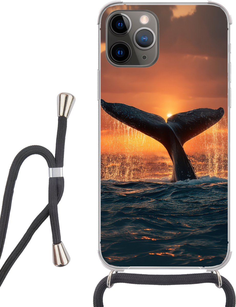 Walvis staart - Water - Zonsondergang