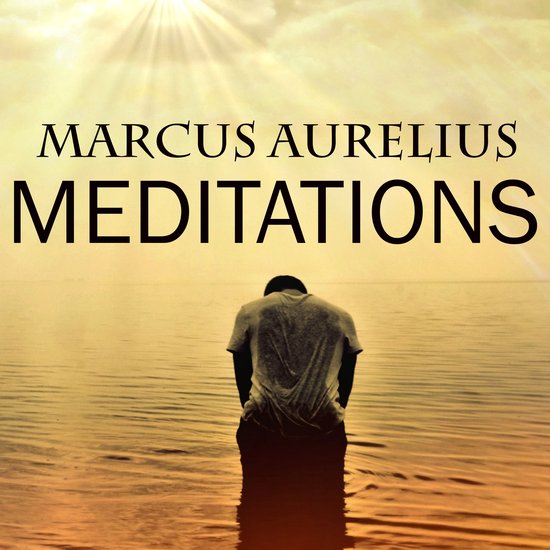 Titel: Marcus Aurelius Meditations. Man in grijs t-shirt, met gebogen hoofd, in het water onder een zonnige hemel.
