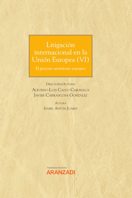 Litigación internacional en la Unión Europea VI - cover