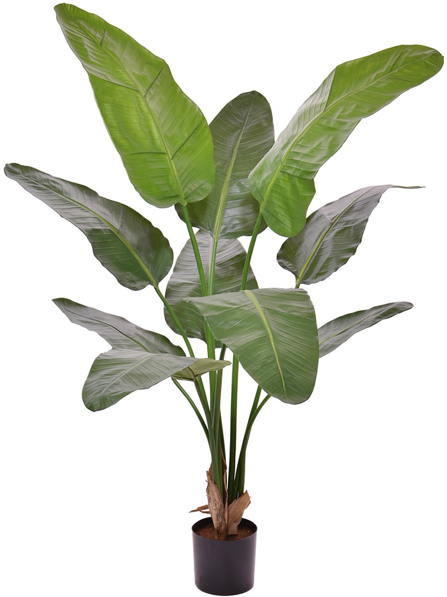 maxifleur Kunstplanten Strelitzia Nicolai deluxe Kunstpalm 145cm Groen