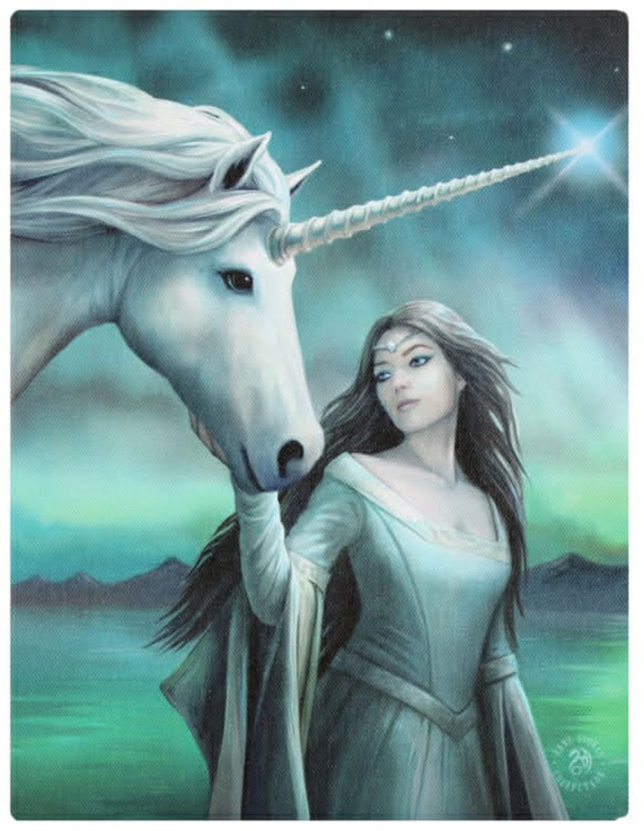 Canvas 50x70cm  - North Star - Anne Stokes