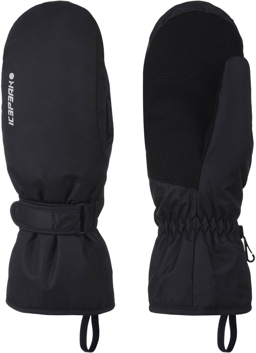 Icepeak Haysburg Skiwanten Senior Zwart