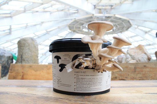 duurzaam cadeau collega 