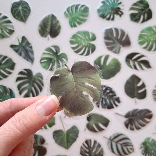 Varen stickers – Groen – Planten – transparante stickers – 40 stuks – Scrapbook – Bullet journal stickers – laptop stickers – Stickers volwassenen en kinderen