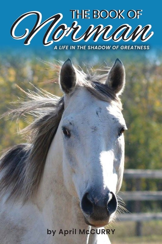 The Book of Norman - cover