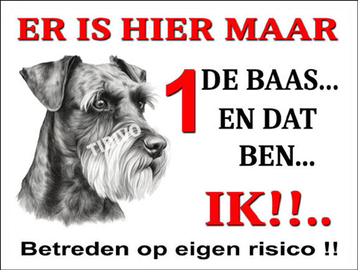 Schnauzer 26