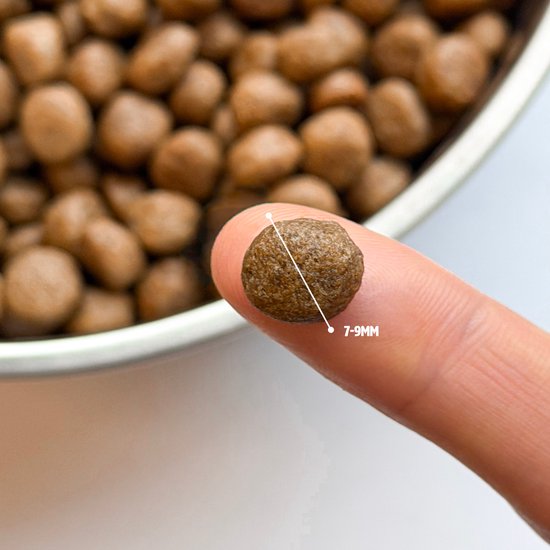 Een vinger toont een hondenbrokje van 7-9mm.