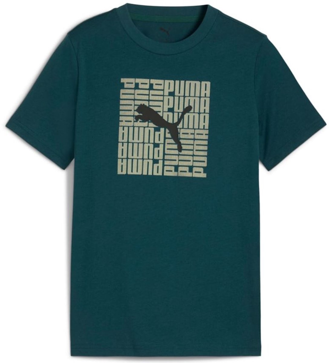 Kinder T-shirt Puma Graphic Box Tee B Groen