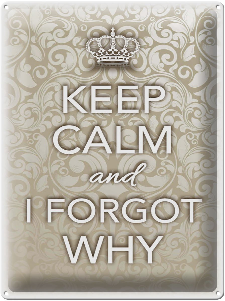 Blechschild Spruch 30x40cm Keep Calm and i forgot why