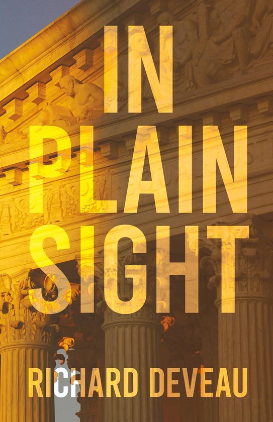 In Plain Sight - cover
