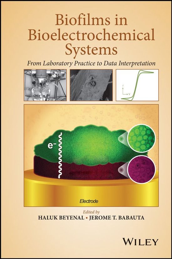 Biofilms in Bioelectrochemical Systems - cover