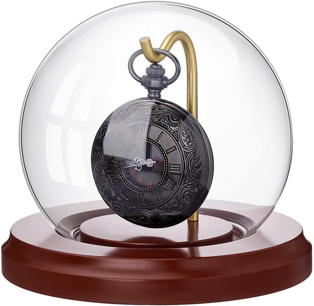 Glazen Stolp met Houten Basis voor Zakhorloge, Medailles of Collecties