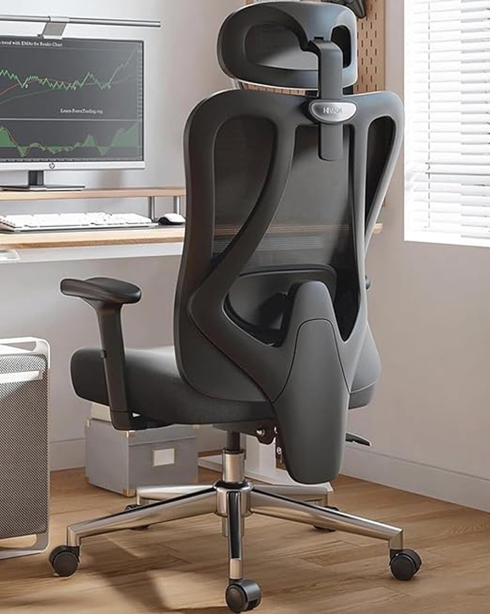 Thuys Ergonomische Bureaustoel – Pro Office Chair met Verstelbare Hoofdsteun, 2D Lendensteun, 6-voudige Armleuningen & Ademend Net – Grote Hellingshoek, Comfortabel voor Thuiswerken & Kantoor – Zwart