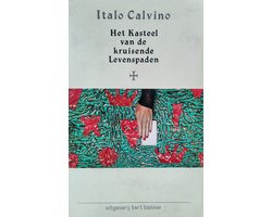 Omslag van Het Kasteel van de kruisende Levenspaden