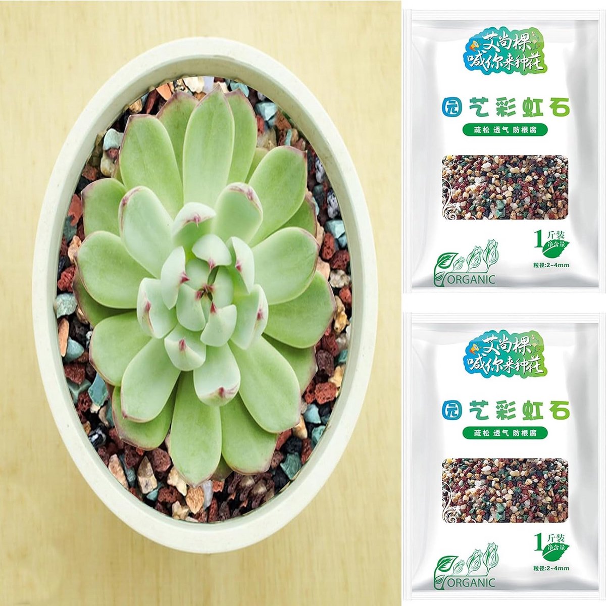 Mix van Horticulture Lava Steen en Pumice Voor Cactussen - Decoratieve Grind voor Planten