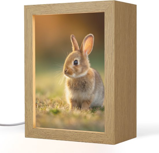 Nachtlampje 15x20 cm - Kinder lampje - Konijntje - Bruin - Gras - Tafellamp kinderkamer - Slaapkamer lamp - Bedlamp kinderen - Kinderlampje stopcontact - Wandlamp babykamer - Nachtlampjes
