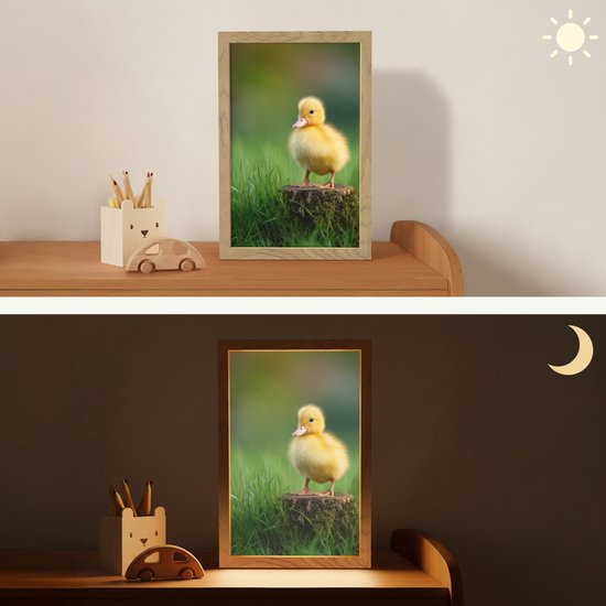 Nachtlampje 20x30 cm - Kinder lamp - Kuiken - Eend - Geel - Gras - Tafellamp kinderkamer - Slaapkamer lamp - Bedlamp kinderen - Kinderlampje stopcontact - Wandlamp babykamer - Nachtlampjes van Merkloos — afbeelding 4
