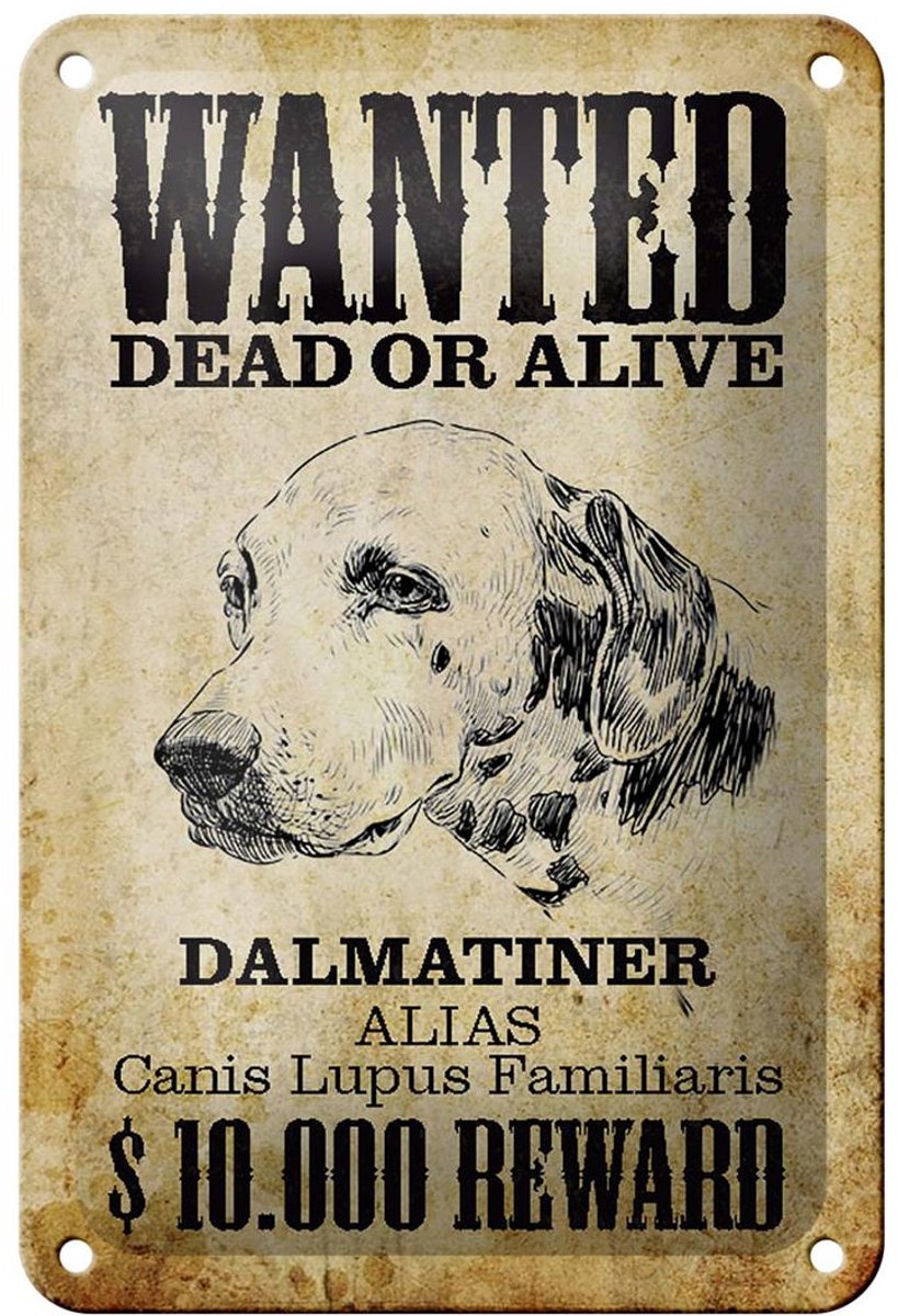 Blechschild Hund 12x18cm wanted dead Dalmatiner Schild