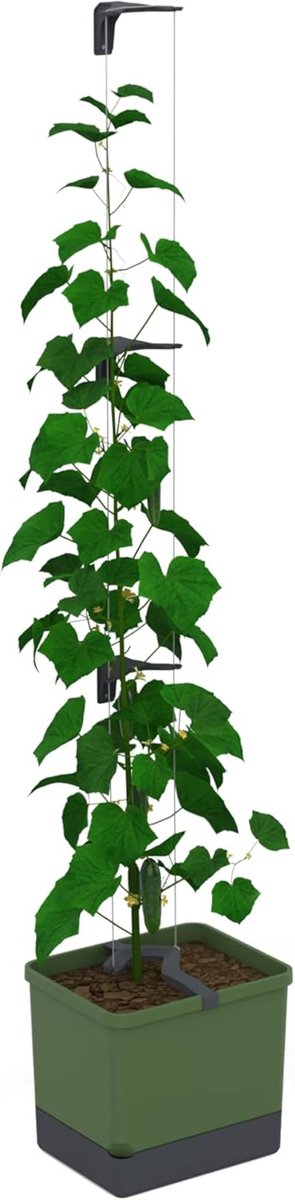 GUSTA GARDEN Curt Cucumber - Zelfbewaterende komkommerpot met trellissysteem, 20L grondvolume & 4,5L watertank, klimhulp, komkommers, UV-gestabiliseerd, Gemaakt in de EU