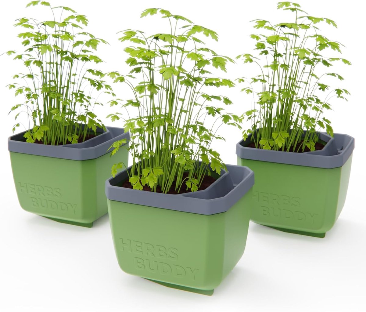 GUSTA GARDEN Herbs Buddy - Zelfbewaterende pot & kruidenpot voor keuken & vensterbank, ideaal voor basilicum, watertank, waterniveau-indicator