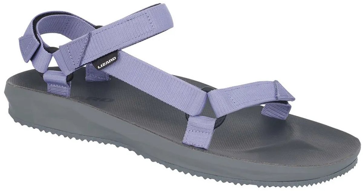 Lizard Hike 2 Sandalen Blauw EU 39 Vrouw
