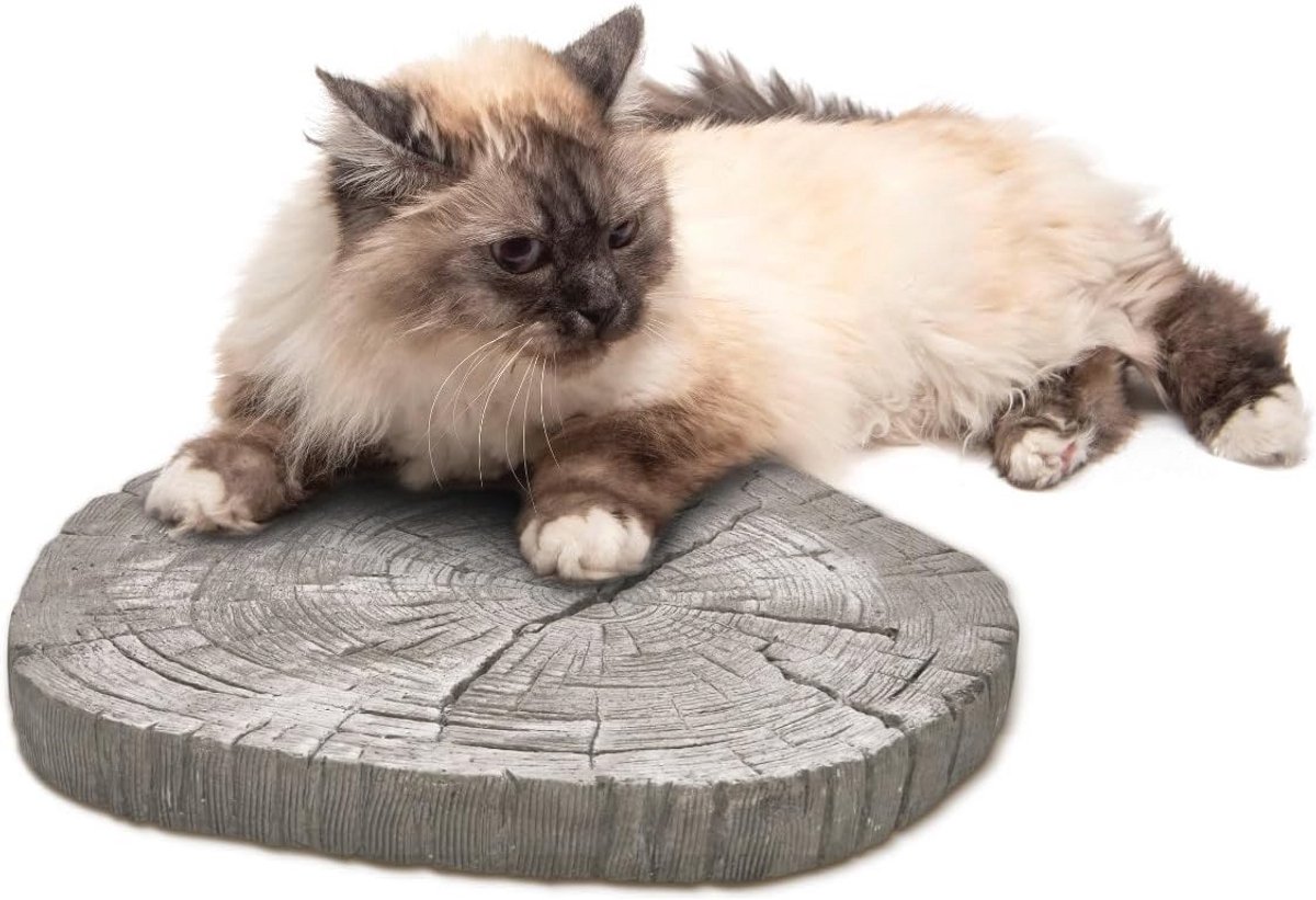 XXL Boomschijven Trapstenen Tuin - Betonnen Treden Ø 30 cm (2 Stuks)