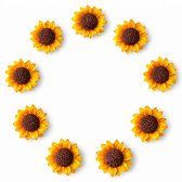 TLVX 10 stuks Zonnebloem Magneten 3D / Leuke Koelkast Magneten / Gele Zonnebloemen Foto Magneet / Whiteboard magneten klein / Speel- en Leer Magneten / School / Boodschappenlijst / Notitie / Memo bord / Kantoor / Schoolbord / Magnetisch / Magneetjes