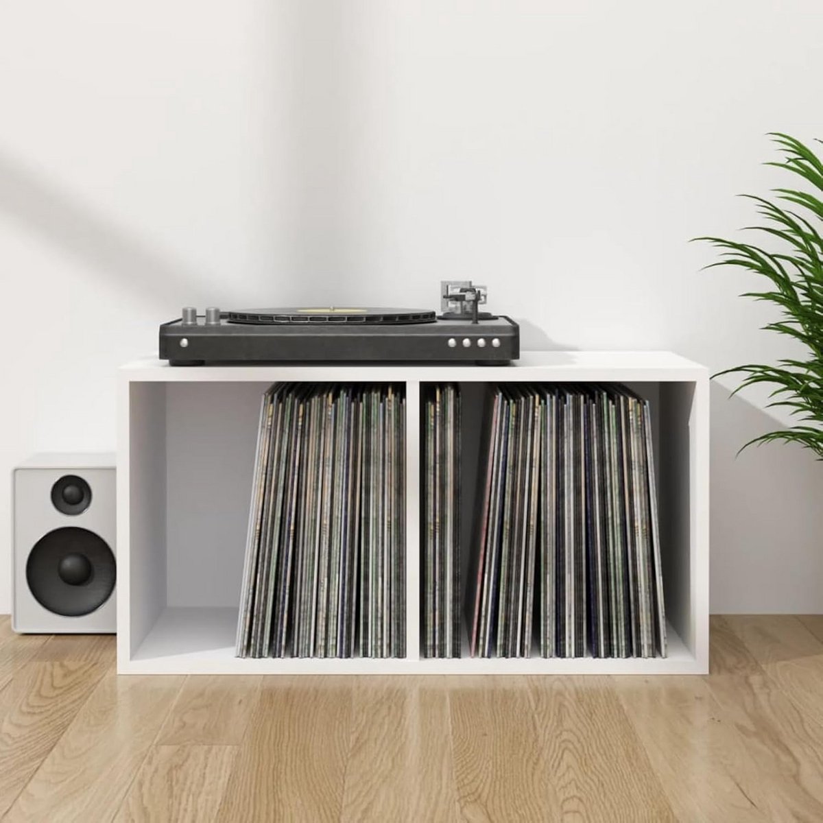 LP Opbergrek Tweekamer Kast voor Vinylplaten - Wit Platen Meubel
