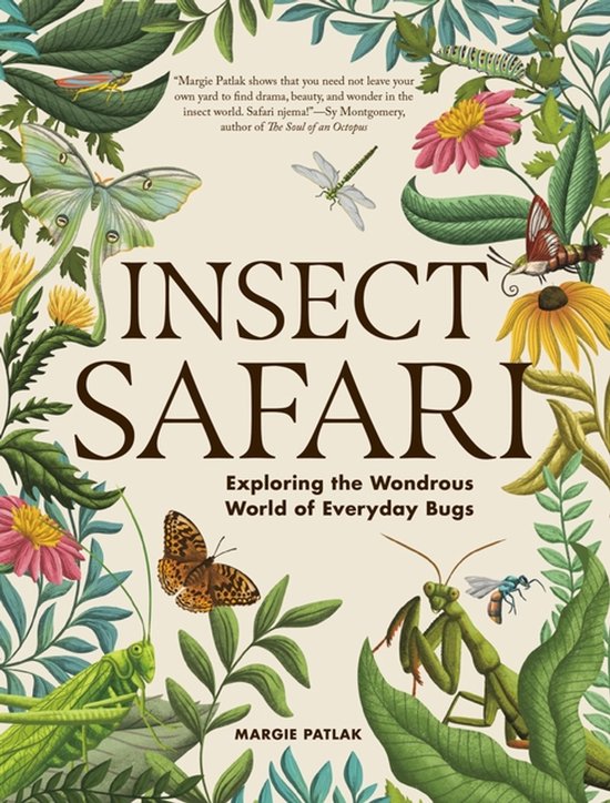 Insect Safari - cover